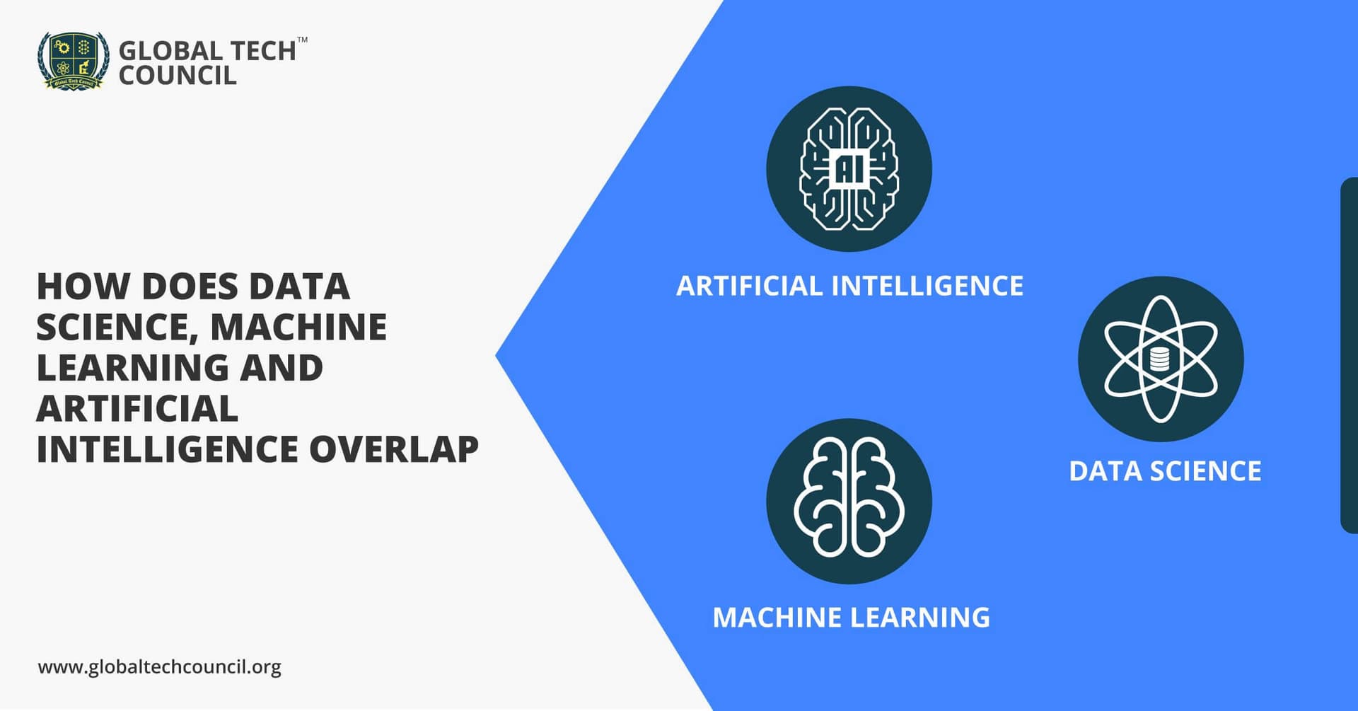 Data-Science-Machine-Learning-And-Artificial-Intelligence-Overlap