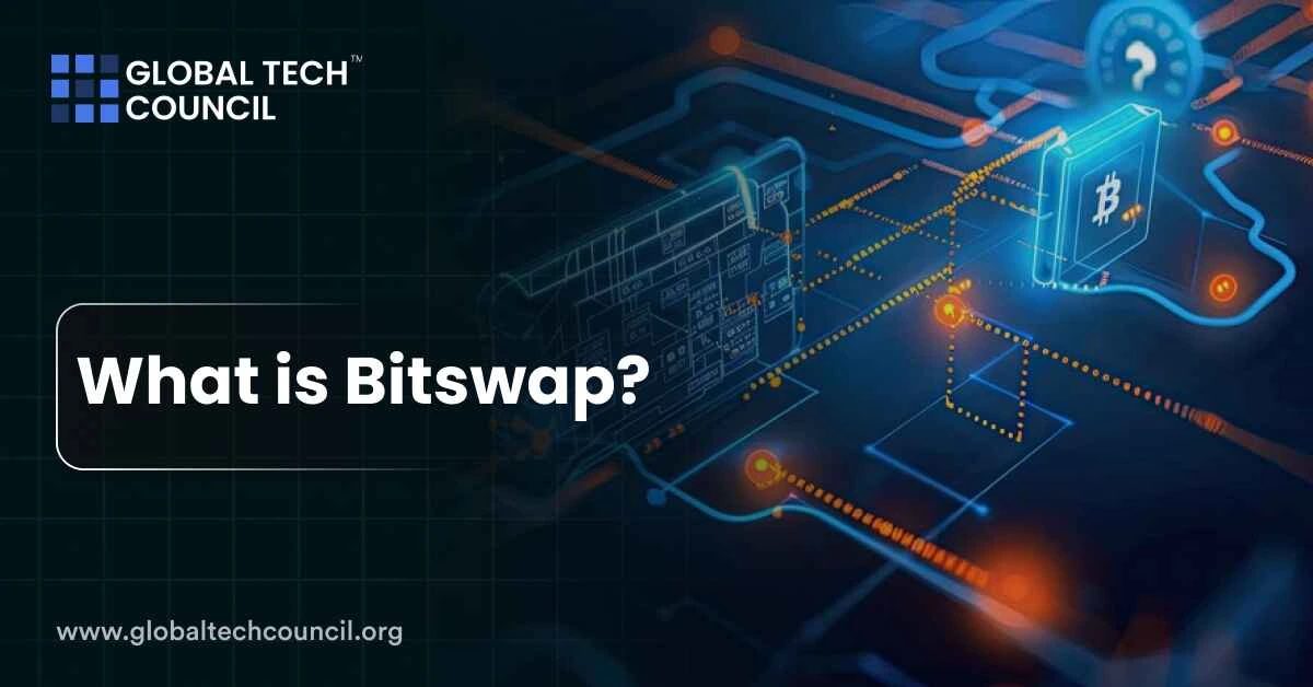 What is Bitswap?