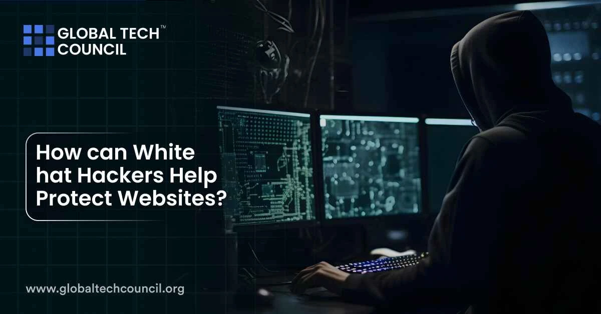 How can White hat Hackers Help Protect Websites?