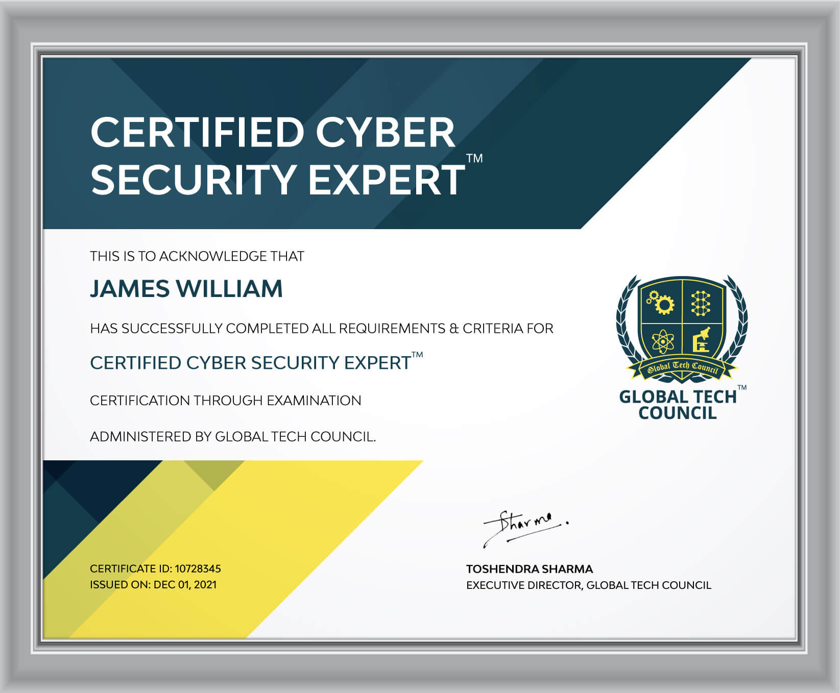 CyberSecurity Professional Training with Certification Online Leading
