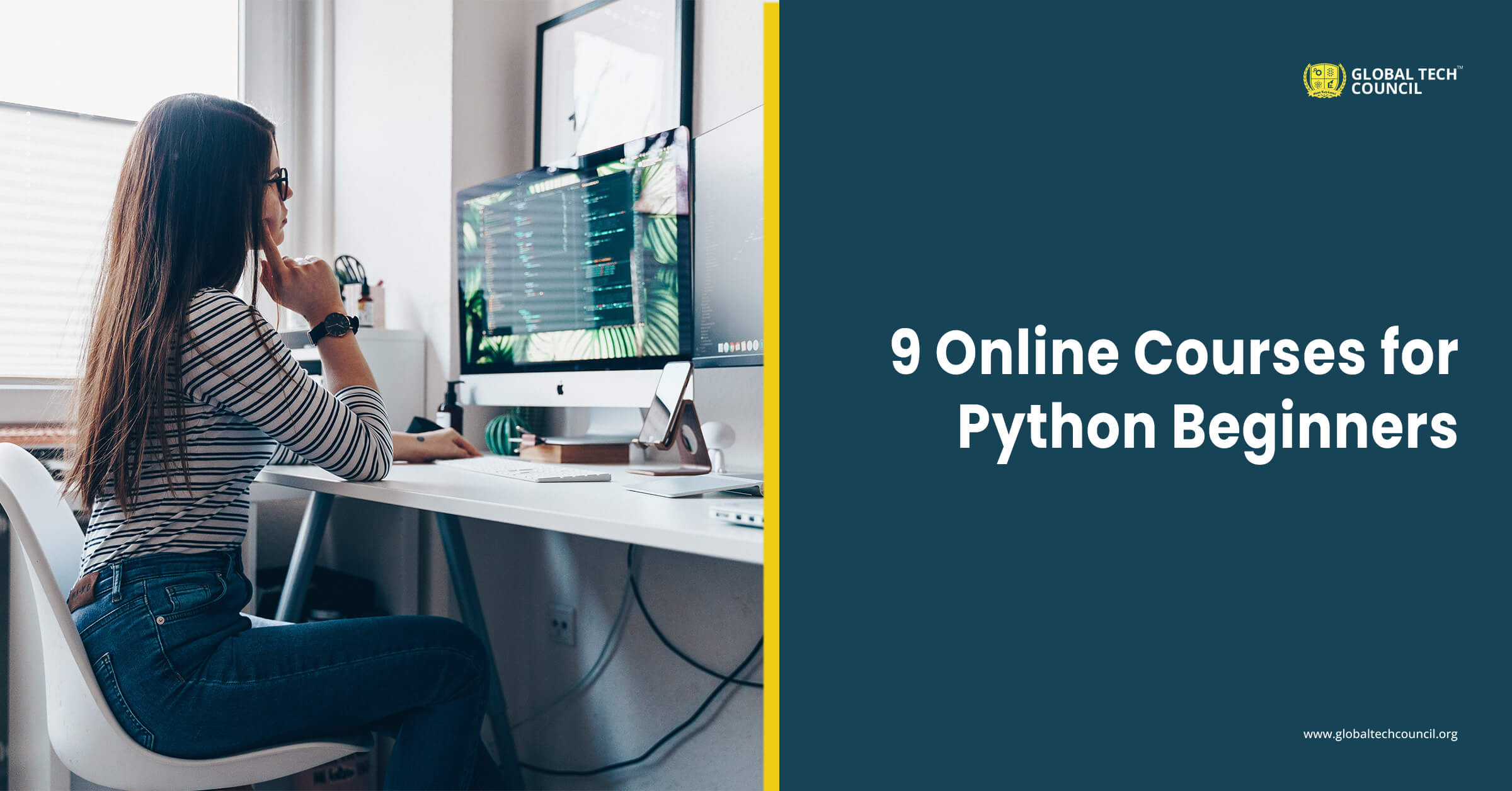 Python for Beginners: Learn How to Write a Program in Python