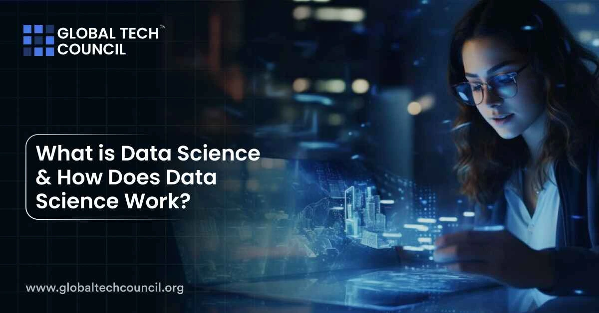 What is Data Science & How Does Data Science Work?