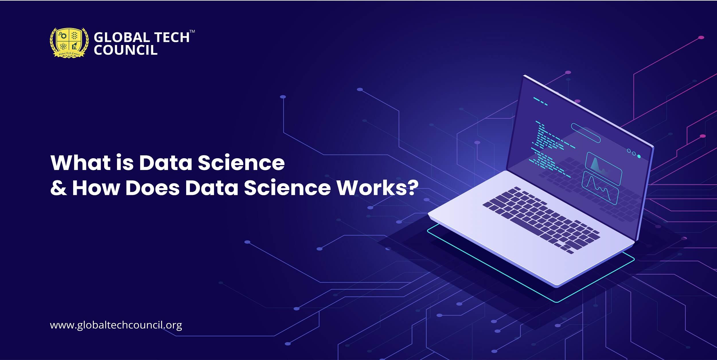 What Is Data Science How Does Data Science Work 