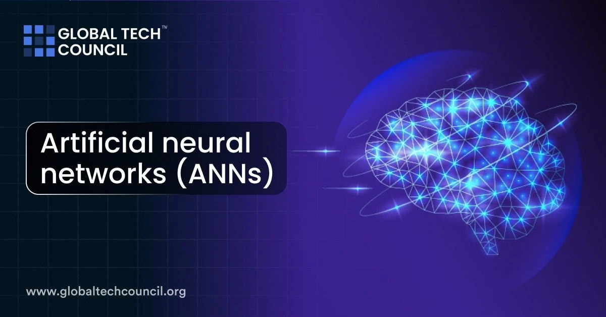 Artificial neural networks (ANNs)